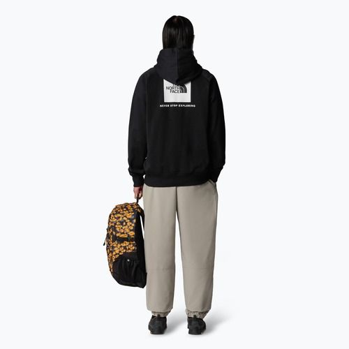 Pánska mikina s kapucňou The North Face Raglan Box Nse black/ white