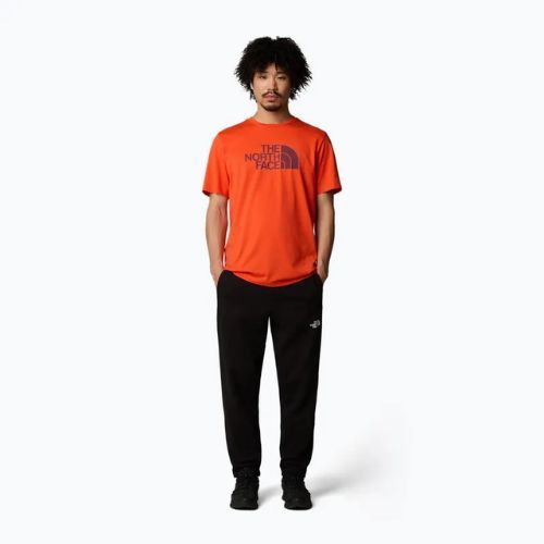Pánske tričko The North Face Easy crimson orange/alpine plum