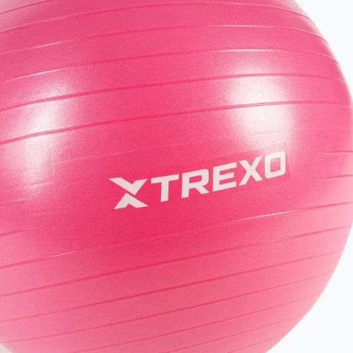 TREXO Gymball TXO-B4Z007-PK 55 cm ružová