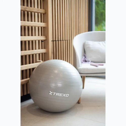 TREXO Gymball TXO-B4Z007-GY 55 cm sivá