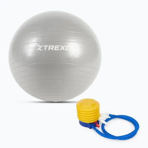 TREXO Gymball TXO-B4Z007-GY 55 cm sivá