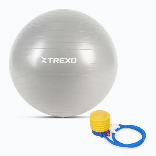 TREXO Gymball TXO-B4Z008-GY 65 cm sivá