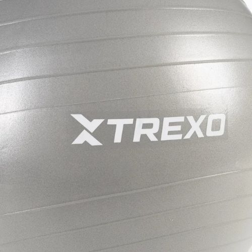 TREXO Gymball TXO-B4Z008-GY 65 cm sivá