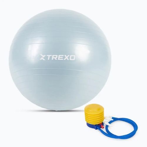 TREXO Gymball TXO-B4Z008-BL 65 cm modrá