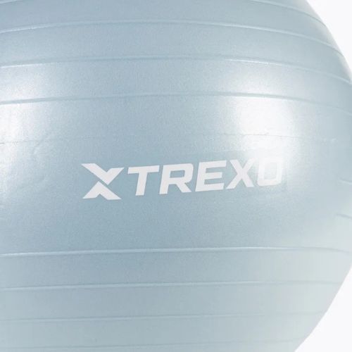 TREXO Gymball TXO-B4Z008-BL 65 cm modrá