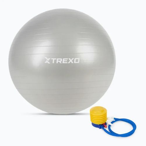 TREXO Gymball TXO-B4Z009-GY 75 cm sivá