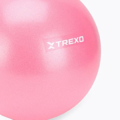 Mini gymnastická lopta TREXO TXO-B4Z010-PK 20 cm ružová