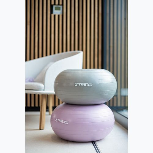 TREXO Donut Gymball TXO-B4Z073-VT 50 cm fialová