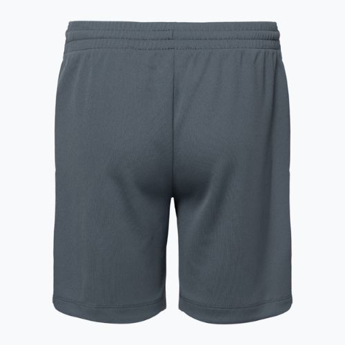 Detské šortky Nike Dri-Fit Multi smoke grey/white