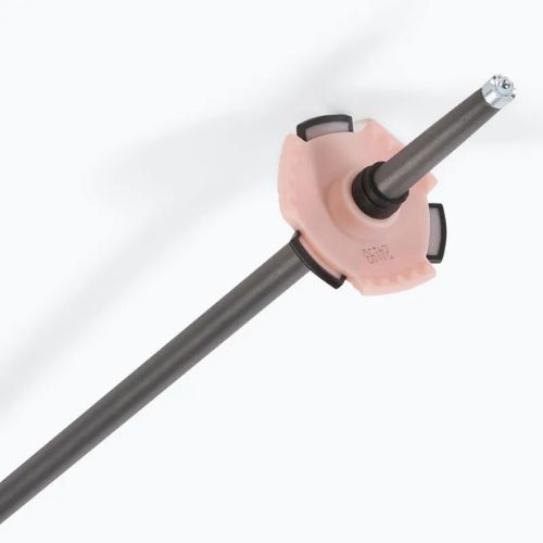 Lyžiarske palice Salomon Polar Pro rose gold