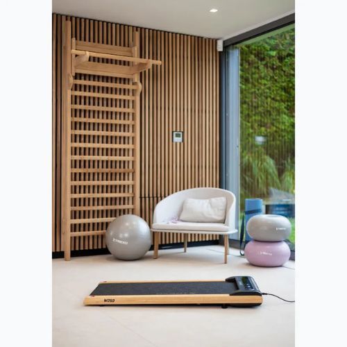 Elektrický bežecký pás XTREXO TXO-W250 Walking Pad black/brown