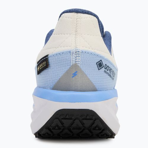 Dámska bežecká obuv Nike Winflo 11 GORE-TEX phantom/footballgrey/cobaltbliss/metallicredbronze