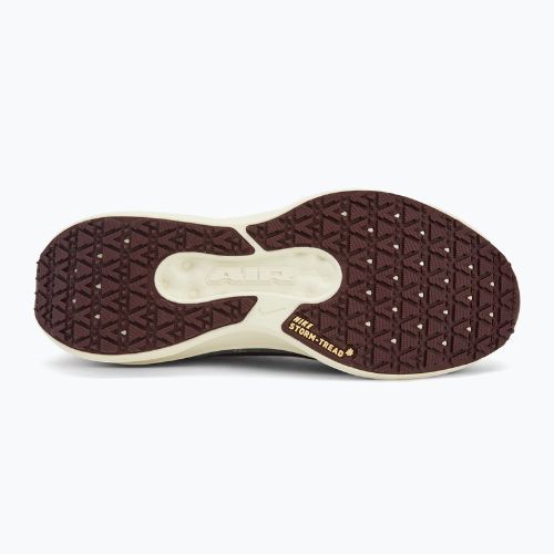 Pánska bežecká obuv Nike Winflo 11 GORE-TEX light pumice/dk smokegrey/burgundycrush/ashenslate