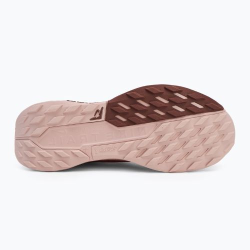 Nike Pegasus Trail 5 GTX dámska bežecká obuv pink oxford/ red stardust/ red sepia