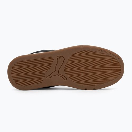Pánske topánky PUMA Park Lifestyle SK8 puma white/puma black/feather gra