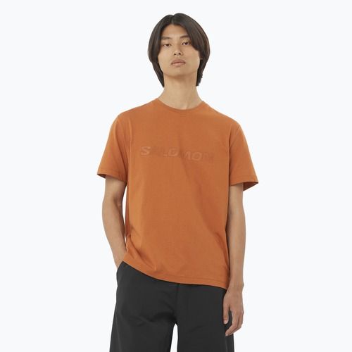 Pánske tričko Salomon Big Logo Tee sierra