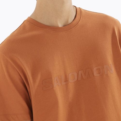 Pánske tričko Salomon Big Logo Tee sierra