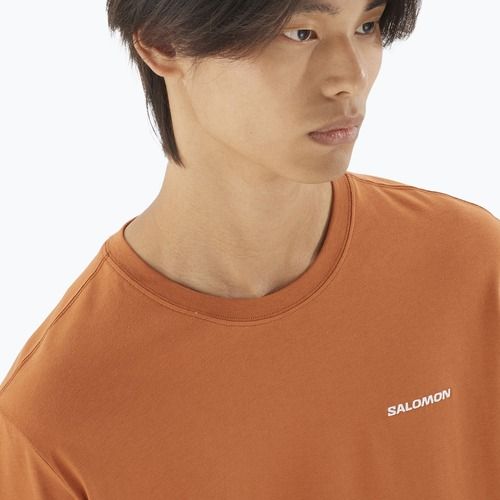 Pánske tričko Salomon Logo Tee sierra