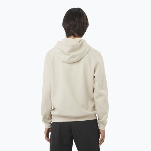 Pánska mikina Salomon Logo Hoodie rainy day