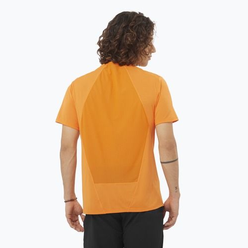 Pánske tričko Salomon Outline Tee turmeric