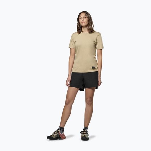 Dámske tričko Salewa Eagle Sunset Loose quicksand