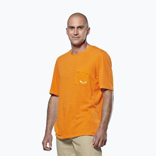 Pánske trekové tričko Salewa Agner Hemp/Dst turmeric