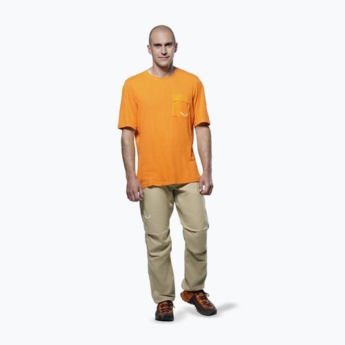 Pánske trekové tričko Salewa Agner Hemp/Dst turmeric