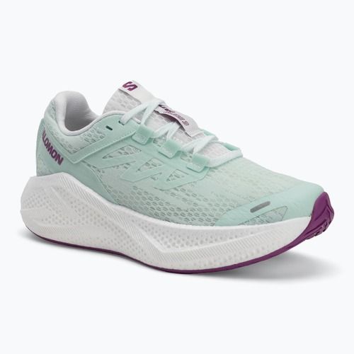 Dámske bežecké topánky Salomon Aero Glide 3 bay/white/wilowherb