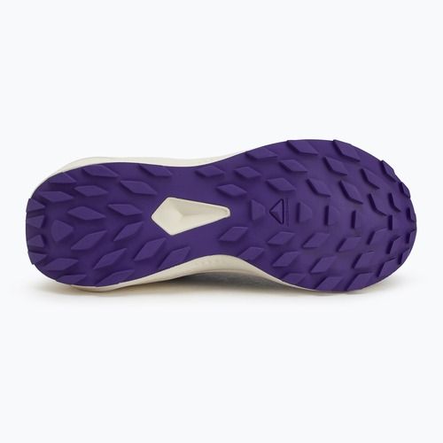 Dámske bežecké topánky Salomon Alphaglide phantom/vanilla ice/liberty
