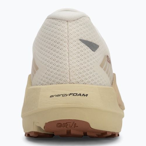 Pánske bežecké topánky Salomon Drx Defy GRVL vanilla ice/green haze/white pepper