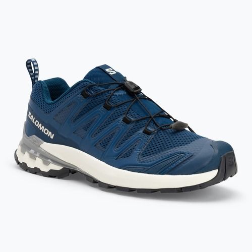 Pánske bežecké topánky Salomon XA Pro 3D V9 poseidon/icicle/alloy