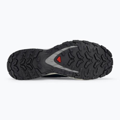 Pánske bežecké topánky Salomon XA Pro 3D V9 poseidon/icicle/alloy