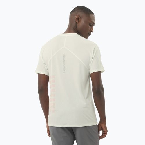 Pánske bežecké tričko Salomon Sense Aero Tee GFX icicle/neon flame