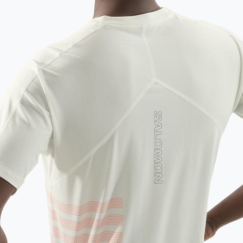 Pánske bežecké tričko Salomon Sense Aero Tee GFX icicle/neon flame