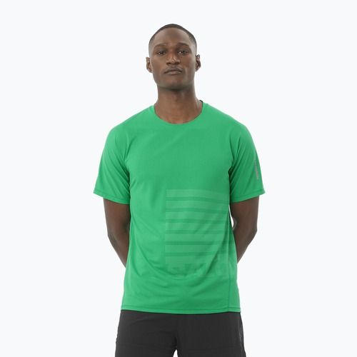 Pánske bežecké tričko Salomon Sense Aero Tee GFX parakeet / spearmintme