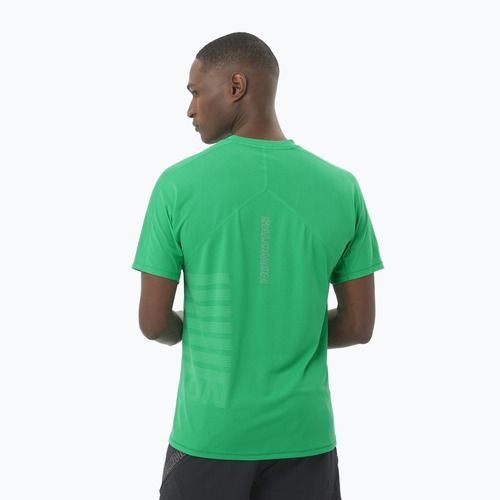 Pánske bežecké tričko Salomon Sense Aero Tee GFX parakeet / spearmintme
