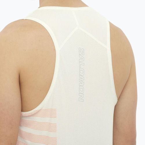 Pánske bežecké tielko Salomon Sense Aero Singlet GFX icicle