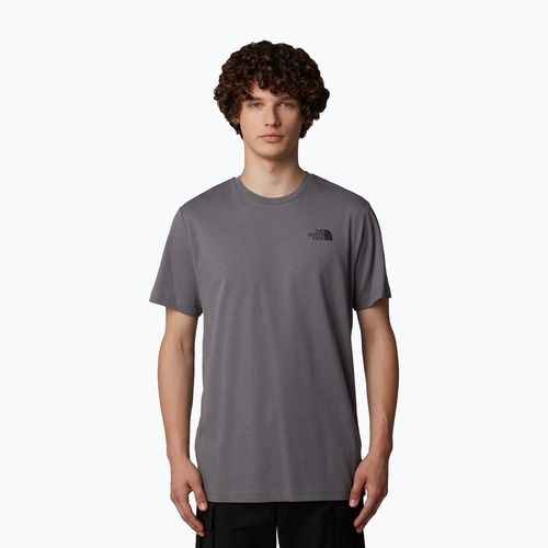 Pánske tričko The North Face Redbox Celebration smoked pearl