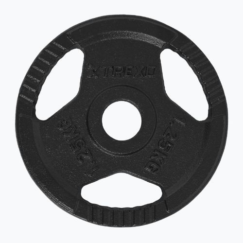 Liatinový kotúč XTREXO TRX-ICP001 1,25 kg chróm