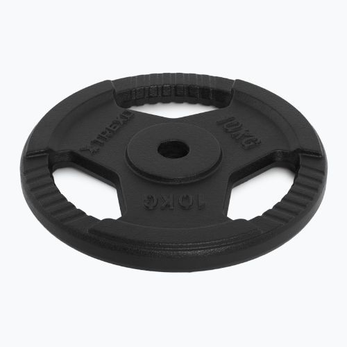 Liatinový kotúč XTREXO TRX-ICP010 10 kg chróm