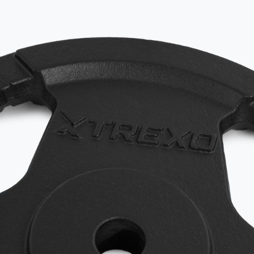 Liatinový kotúč TREXO TRX-ICP015 15 kg chróm