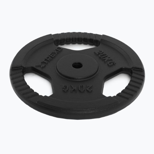 Liatinový kotúč XTREXO TRX-ICP020 20 kg chróm