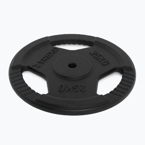 Liatinový kotúč XTREXO TRX-ICP025 25 kg chróm