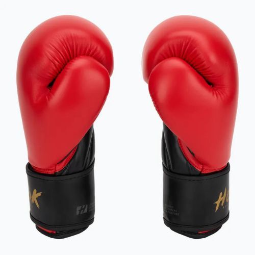Boxerské rukavice HOOK FIGHTING Ready To Train červené
