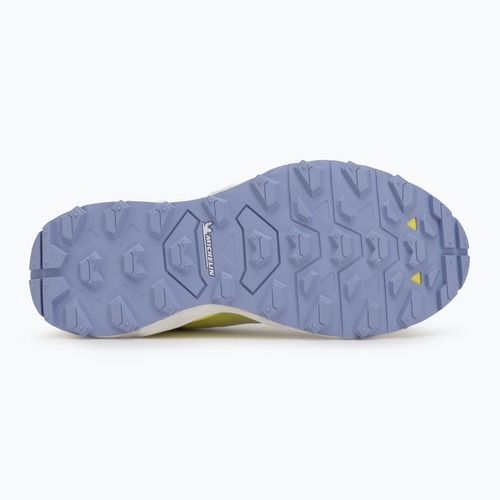 Dámske bežecké topánky Mizuno Wave Daichi 7 Roxy snow white