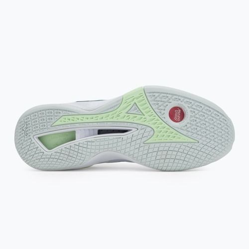 Dámska hádzanárska obuv Mizuno Wave Stealth Neo