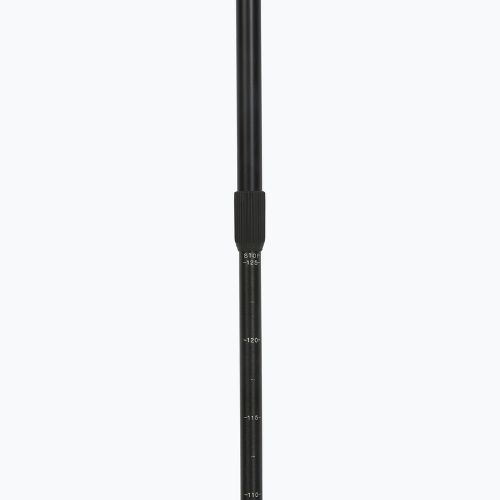 Palice na nordic walking Fizan Smu Active black