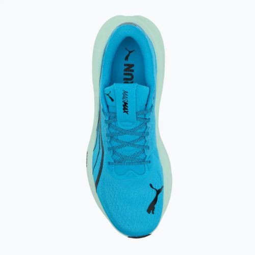 Pánske bežecké topánky PUMA MagMax Nitro mint melt/speed blue