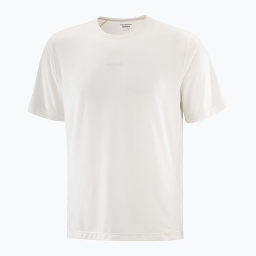 Pánske tričko Salomon Shakeout Core  whisper white