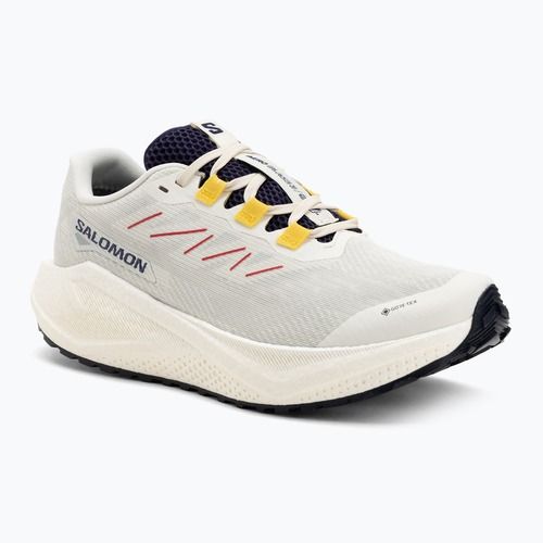 Pánske bežecké topánky Salomon Aero Blaze 3 Gravel GTX vanilla ice/astral aura/lemon